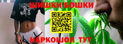 мдпв Боровичи