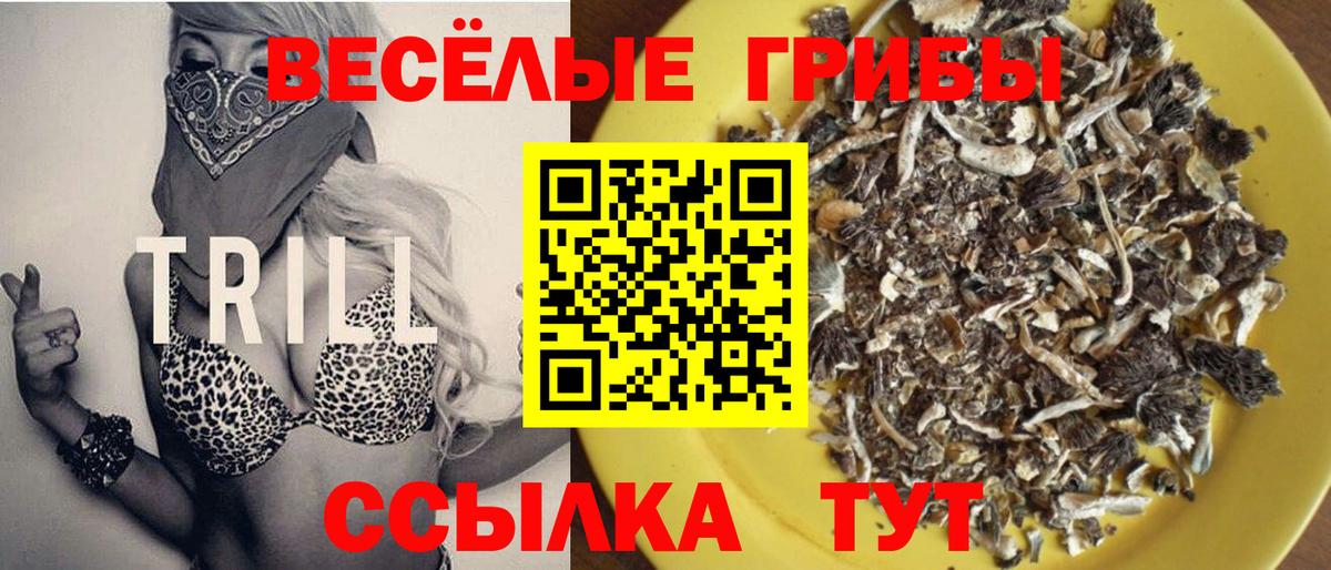 Псилоцибиновые грибы ЛСД Златоуст