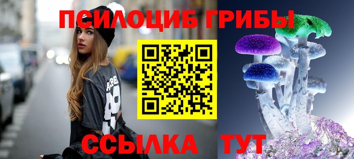 купить наркоту  Галлюциногенные грибы мицелий  Вход с VPN  Златоуст  Галлюциногенные грибы MAGIC MUSHROOMS 
